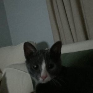 Meet your Posher, Kathryn